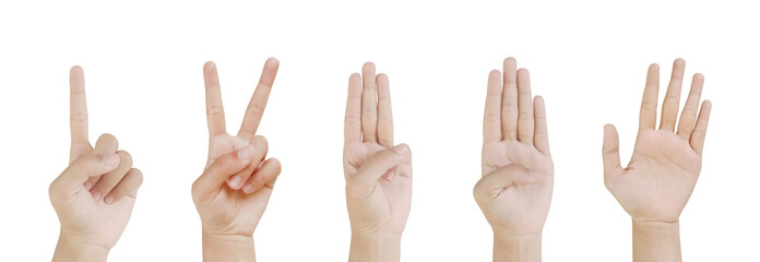 Close up Asian female15-20 age hand show Number one two three four Five finger, sign arm and hand isolated on a white background copy space symbol language