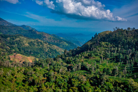 Aerial view of Little Adam's Peak, Badulla, Sri Lanka.
