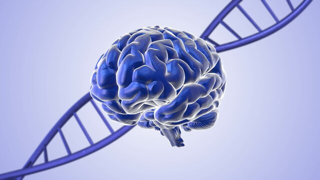 Human brain 3d-medical background with dna