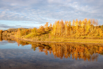 Autumn trees by the lake.