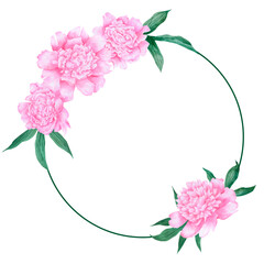 Round floral frame with pink flowers and green leaves. Watercolor peony wreath. Hand drawn peony arrangement isolated on white background.