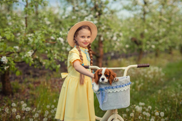 Friendship of children and pets. a cute girl and a little puppy cavalier ride a bike in spring in a blooming garden