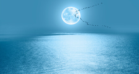 Migratory birds flying in the sky with full blue moon 