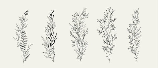 Trendy floral branch and minimalist flowers for logo or decorations. Hand drawn line wedding herb, elegant leaves for invitation save the date card. Botanical rustic trendy greenery - obrazy, fototapety, plakaty