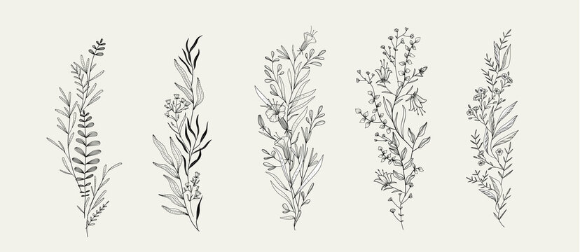 Trendy floral branch and minimalist flowers for logo or decorations. Hand drawn line wedding herb, elegant leaves for invitation save the date card. Botanical rustic trendy greenery