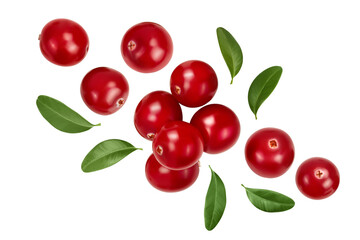 Cranberry with leaves isolated on white background with clipping path and full depth of field. Top view. Flat lay