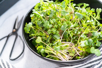 Microgreens