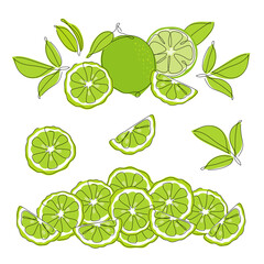 Set of collection compositions with lime, bergamot citrus element fruits. Vector illustration collection tropical exotic food. - obrazy, fototapety, plakaty