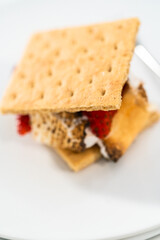 Fruit Smores