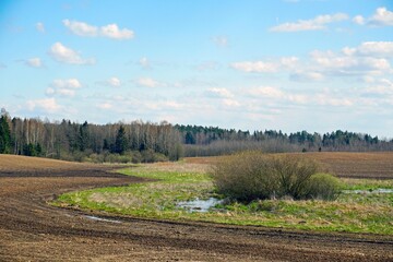 Fototapeta premium Rural landscape. Expanses of horizon forest. Plowed field. Spring day. blue sky and clouds