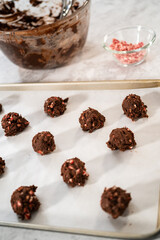 Chocolate cookies with peppermint chips
