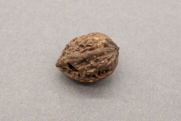 A walnut in a shell on a gray background. Healthy eating