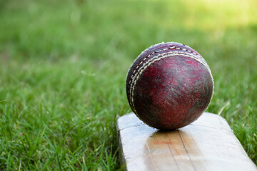 Cricket sport training equipments, old leather ball and wooden bat on grass court, soft and...