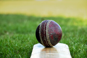 Cricket sport training equipments, old leather ball and wooden bat on grass court, soft and selective focus.