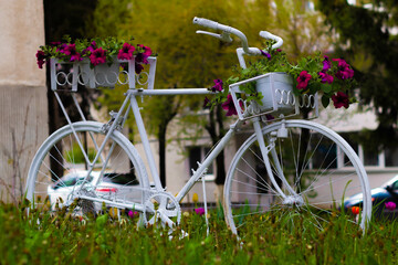 Fototapeta na wymiar Bike with basket for flowers