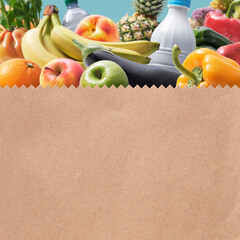 Paper bag full of groceries