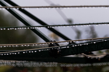 Closeup of wires with waterdrops