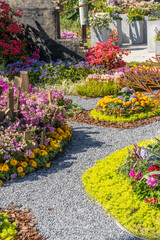 path leading through a garden