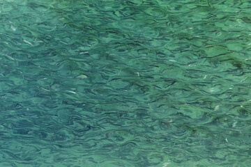Green water surface pattern background.