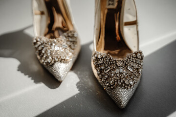 bride's shoes, shoes, veil and accessories
