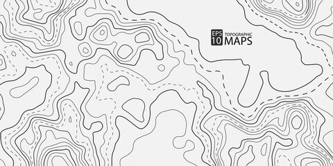 Topographic map background. Geographic grid. Vector Image