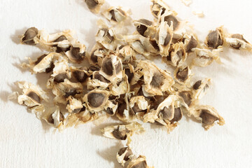 Seeds of the medicinal plant moringa close-up on a light background. Overhead