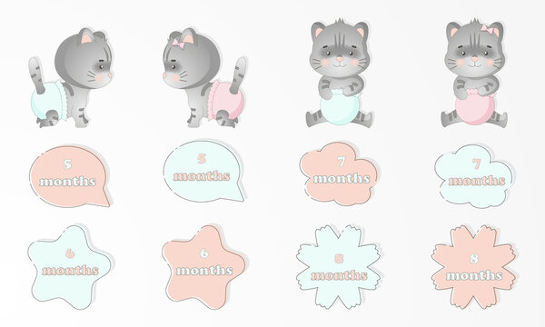 set of baby animals. From four to eight months little baby kitten. Cute baby monthly stickers. For girl and boy