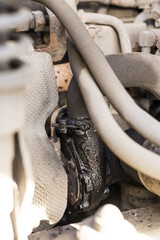 Vertical shot of massive turbocharger oil leakage