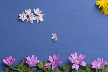 Flores sobre fondo azul
