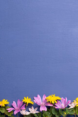 Flores sobre fondo azul con espacio para recurso gráfico, invitacion, celebraciones, decoración.En bodas, bautizos y comuniones. Primaveral.