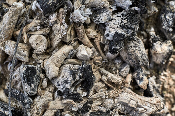 Ashes and burnt coals after a fire. Extinguished and cooled wood fire. Background from fireless coals and ash texture. Nature and the environment.