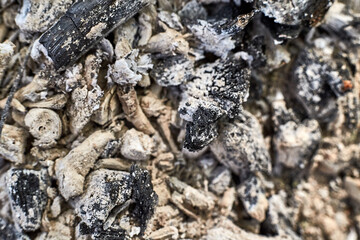 Ashes and burnt coals after a fire. Extinguished and cooled wood fire. Background from fireless...