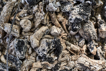 Ashes and burnt coals after a fire. Extinguished and cooled wood fire. Background from fireless...