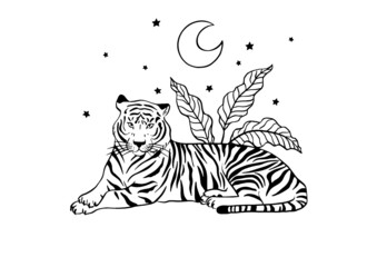 vector esoteric tiger black and white 