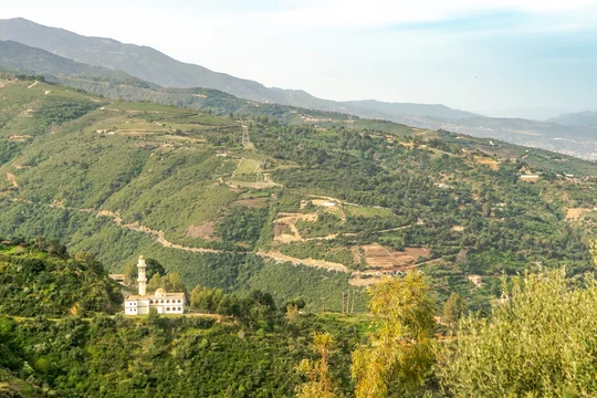 Chréa - Adobe Stock