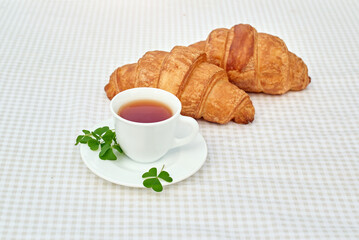 Two cup black tea with camomile and fresh croissants on the table against white background. Flat lay, spring breakfast conceptual composition