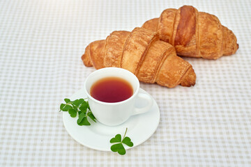 Two cup black tea with camomile and fresh croissants on the table against white background. Flat lay, spring breakfast conceptual composition