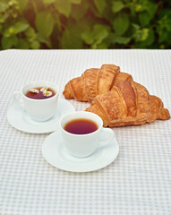 Two cup black tea with camomile and fresh croissants on the table against white background. Flat lay, spring breakfast conceptual composition