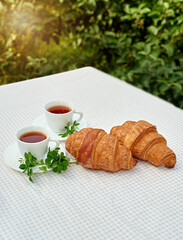 Two cup black tea with camomile and fresh croissants on the table against white background. Flat lay, spring breakfast conceptual composition