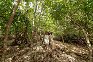 Anda, Bohol, Philippines - Tourists walk through the thick mangrove forest in Lamanok Island....