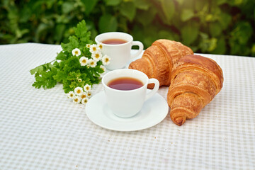 Two cup black tea with camomile and fresh croissants on the table against white background. Flat lay, spring breakfast conceptual composition