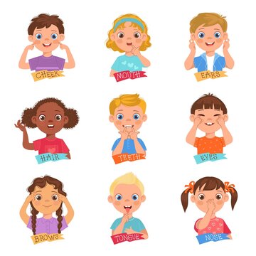 Kids pointing face part. Little funny children demonstrate different head organs. Educational pictures. Boys or girls touch cheeks and noses. People learn anatomy. Vector body studying set