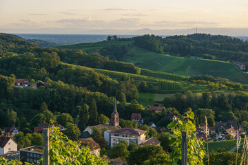 Golden sunset over beautiful landscape with the wine fields of the Black Forest, Sasbachwalden,...