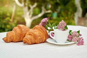 Two cup black tea with flowers and fresh croissants on the table against white background. Flat lay, spring breakfast conceptual composition