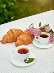 Two cup black tea with flowers and fresh croissants on the table against white background. Flat lay, spring breakfast conceptual composition
