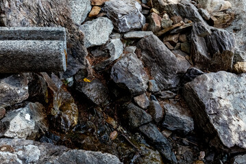A close-up of the origin of the river Etsch