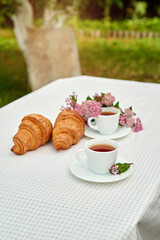 Two cup black tea with flowers and fresh croissants on the table against white background. Flat lay, spring breakfast conceptual composition