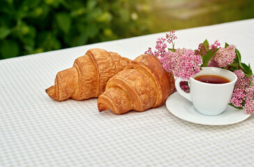 Two cup black tea with flowers and fresh croissants on the table against white background. Flat lay, spring breakfast conceptual composition