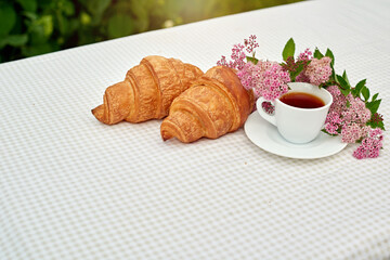 Two cup black tea with flowers and fresh croissants on the table against white background. Flat lay, spring breakfast conceptual composition