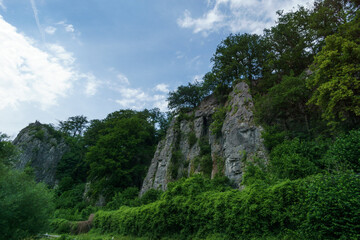 Fototapeta na wymiar rock formation in the forest in Balve, Sauerland, Germany
